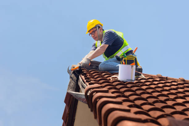 Sheet Metal Roofing in Wacousta, MI